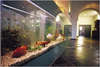 Minos Beach Art Hotel 